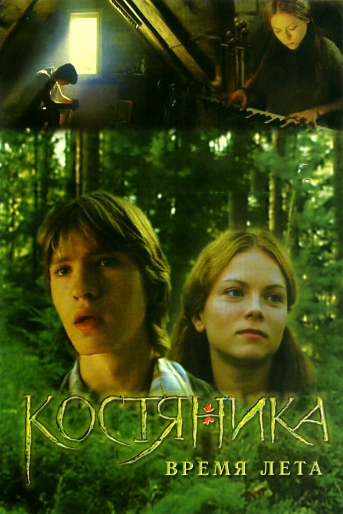 КостяНика. Время лета (2006) постер