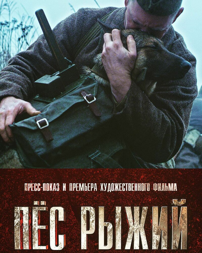 Пёс рыжий (2016) постер