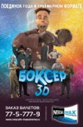 Боксер 3D (2004) постер